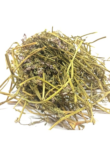 Şahtere Otu 1 kg fiyatları