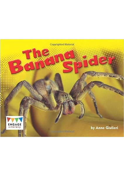 Roadmap B1 Workbook With Digital Resources Pearson