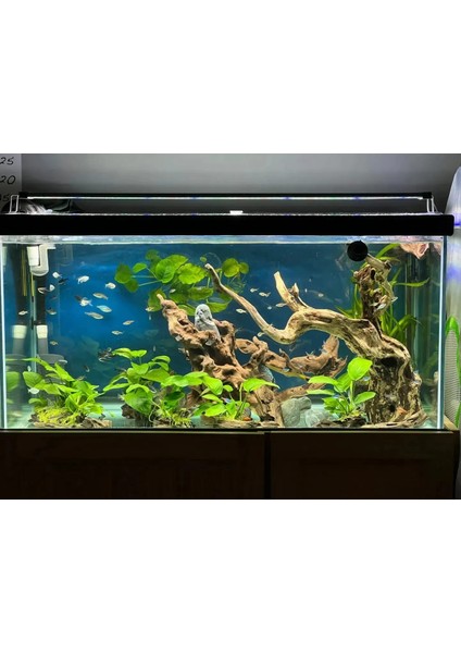 Shark Akvaryum Armatürü Fullspectrum 4 Renk Armatür 3 Sıra Osram Ledli 75 Cm(80-85 cm Uyumlu-3465 lümen)