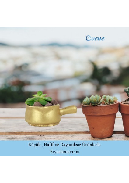 Mini Çiçek Saksı Küçük Sukulent Kaktüs Saksısı Tava Model