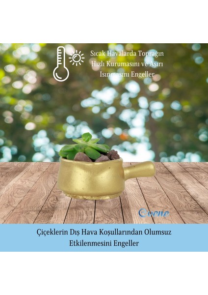 Mini Çiçek Saksı Küçük Sukulent Kaktüs Saksısı Tava Model