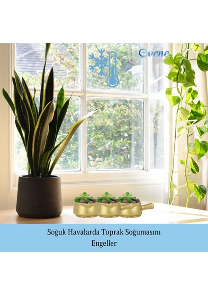 Mini Çiçek Saksı Küçük Sukulent Kaktüs Saksısı Tava Model