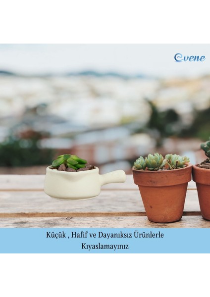 Mini Çiçek Saksı Küçük Sukulent Kaktüs Saksısı Tava Model