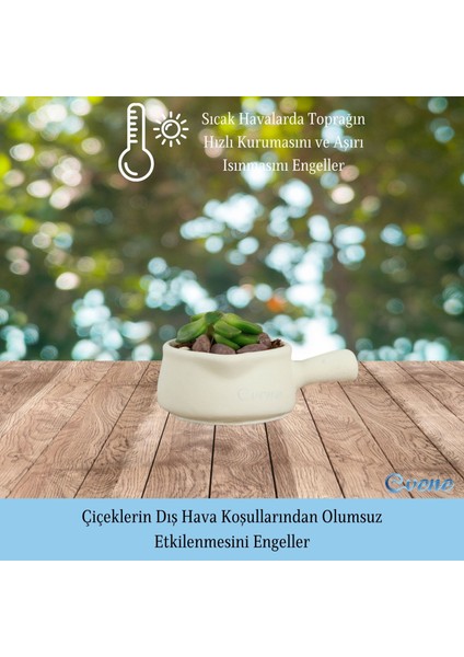 Mini Çiçek Saksı Küçük Sukulent Kaktüs Saksısı Tava Model