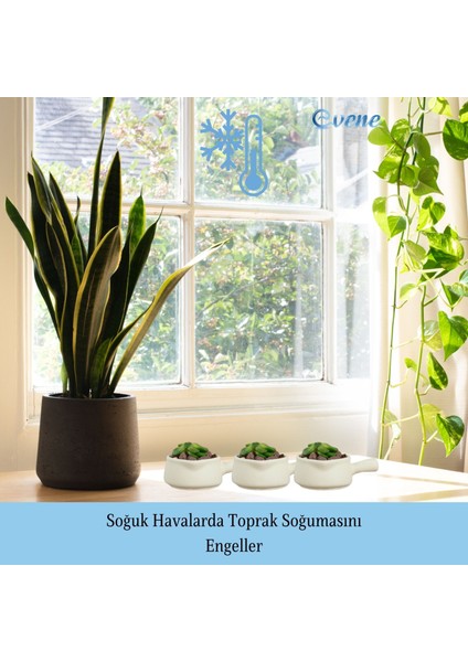 Mini Çiçek Saksı Küçük Sukulent Kaktüs Saksısı Tava Model