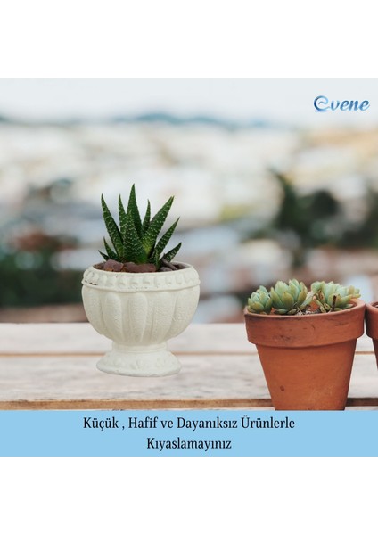 Mini Çiçek Saksı Küçük Sukulent Kaktüs Saksısı Antika Vazo Model
