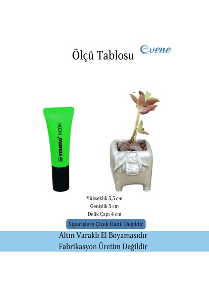 Mini Çiçek Saksı Küçük Sukulent Kaktüs Saksısı Mini Inek Model fiyatları