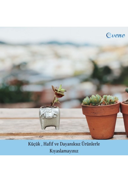 Mini Çiçek Saksı Küçük Sukulent Kaktüs Saksısı Mini Inek Model modelleri