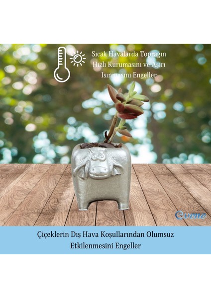 Mini Çiçek Saksı Küçük Sukulent Kaktüs Saksısı Mini Inek Model fırsatları