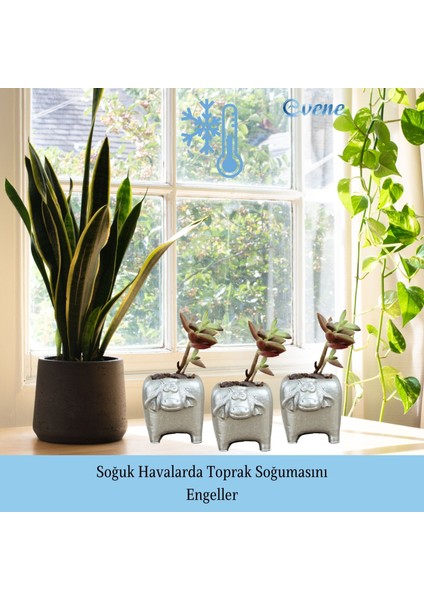 Mini Çiçek Saksı Küçük Sukulent Kaktüs Saksısı Mini Inek Model indirimleri