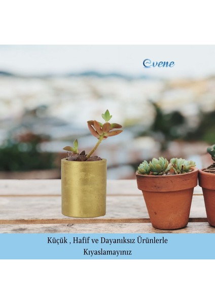 Mini Çiçek Saksı Küçük Sukulent Kaktüs Saksısı Düz Yuvarlak Model