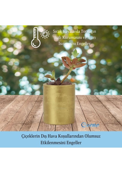 Mini Çiçek Saksı Küçük Sukulent Kaktüs Saksısı Düz Yuvarlak Model