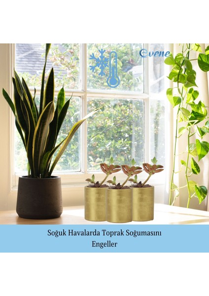 Mini Çiçek Saksı Küçük Sukulent Kaktüs Saksısı Düz Yuvarlak Model