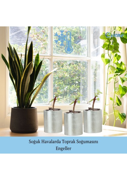 Mini Çiçek Saksı Küçük Sukulent Kaktüs Saksısı Düz Yuvarlak Model indirimleri