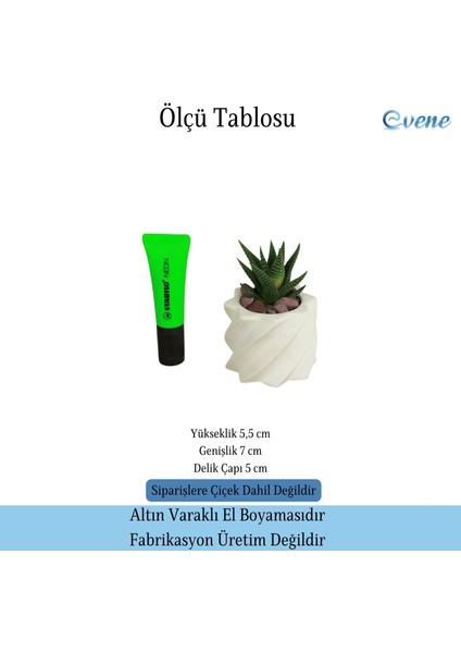 Mini Çiçek Saksı Küçük Sukulent Kaktüs Saksısı Kalın Çizgili Yıldız Model