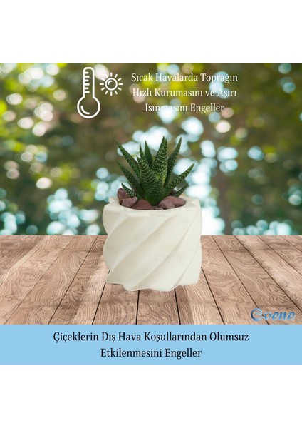 Mini Çiçek Saksı Küçük Sukulent Kaktüs Saksısı Kalın Çizgili Yıldız Model