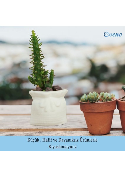 Mini Çiçek Saksı Küçük Sukulent Kaktüs Saksısı Kese Model