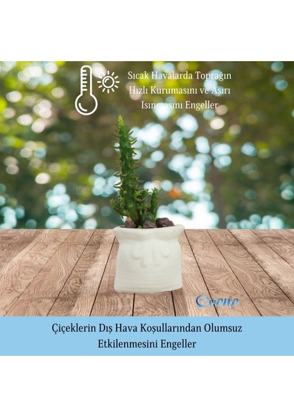 Mini Çiçek Saksı Küçük Sukulent Kaktüs Saksısı Kese Model