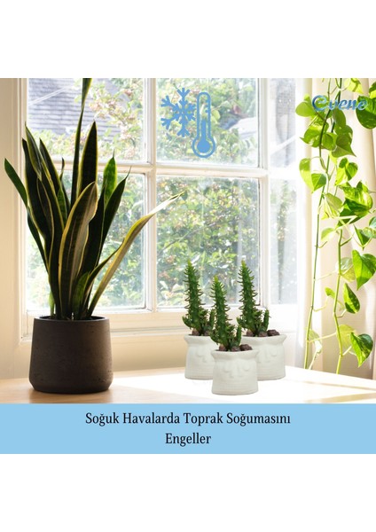 Mini Çiçek Saksı Küçük Sukulent Kaktüs Saksısı Kese Model