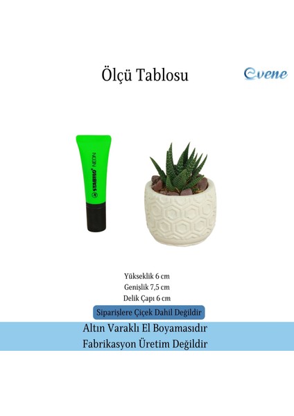 Mini Çiçek Saksı Küçük Sukulent Kaktüs Saksısı Altıgen Desenli Model