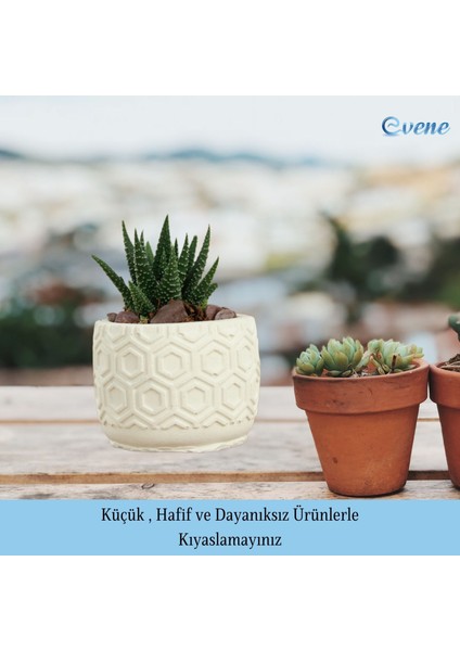 Mini Çiçek Saksı Küçük Sukulent Kaktüs Saksısı Altıgen Desenli Model