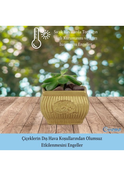 Mini Çiçek Saksı Küçük Sukulent Kaktüs Saksısı Mini Çiçekli Model