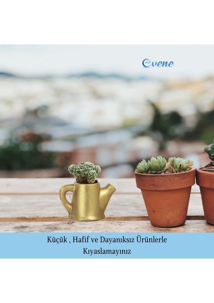 Mini Çiçek Saksı Küçük Sukulent Kaktüs Saksısı Mini Çaydanlık Model