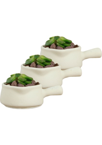 Mini Çiçek Saksı Küçük Sukulent Kaktüs Saksısı 3'lü Set Mini Tava Model