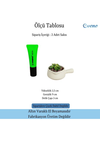 Mini Çiçek Saksı Küçük Sukulent Kaktüs Saksısı 3'lü Set Mini Tava Model