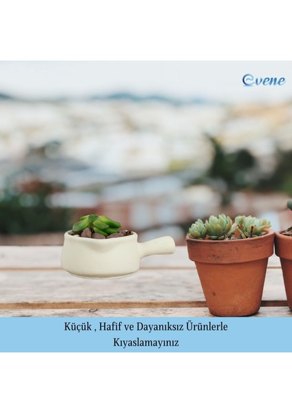 Mini Çiçek Saksı Küçük Sukulent Kaktüs Saksısı 3'lü Set Mini Tava Model