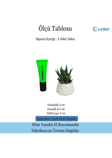 Mini Çiçek Saksı Küçük Sukulent Kaktüs Saksısı 3'lü Set Mini Poly 1 Model