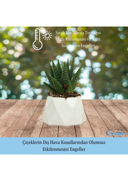 Mini Çiçek Saksı Küçük Sukulent Kaktüs Saksısı 3'lü Set Mini Poly 1 Model