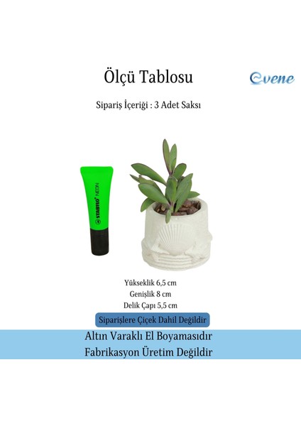 Mini Çiçek Saksı Küçük Sukulent Kaktüs Saksısı 3'lü Set Deniz Yıldızlı Kabuklu Model