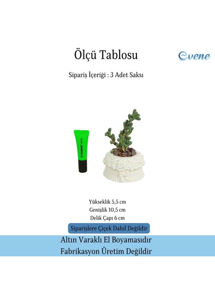 Mini Çiçek Saksı Küçük Sukulent Kaktüs Saksısı 3'lü Set Çiçekli Fiyonklu Model