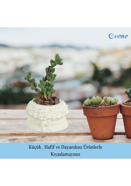 Mini Çiçek Saksı Küçük Sukulent Kaktüs Saksısı 3'lü Set Çiçekli Fiyonklu Model