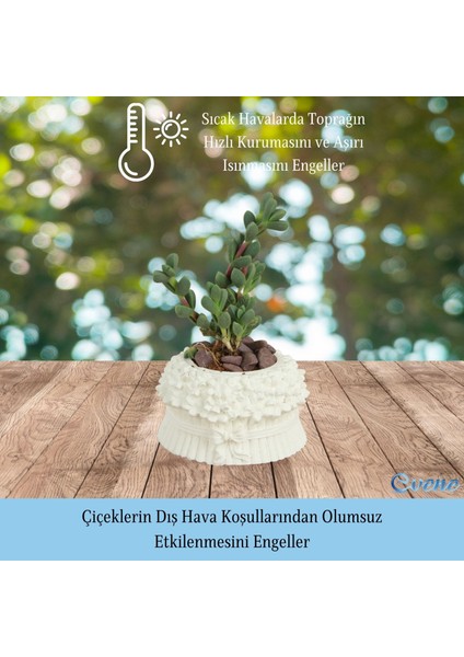 Mini Çiçek Saksı Küçük Sukulent Kaktüs Saksısı 3'lü Set Çiçekli Fiyonklu Model