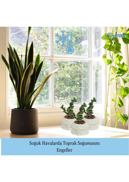 Mini Çiçek Saksı Küçük Sukulent Kaktüs Saksısı 3'lü Set Çiçekli Fiyonklu Model