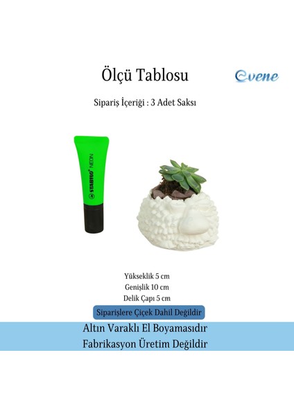 Mini Çiçek Saksı Küçük Sukulent Kaktüs Saksısı 3'lü Set Koyun Model