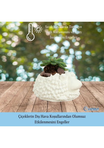 Mini Çiçek Saksı Küçük Sukulent Kaktüs Saksısı 3'lü Set Koyun Model