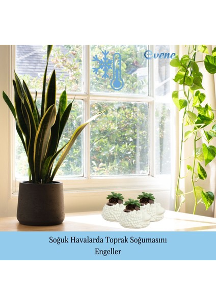 Mini Çiçek Saksı Küçük Sukulent Kaktüs Saksısı 3'lü Set Koyun Model