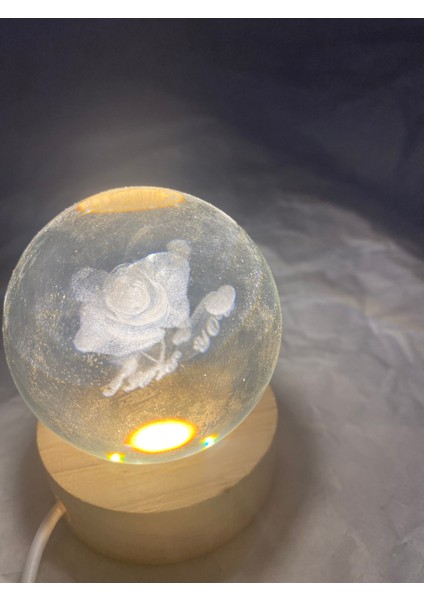3D LED Işık Cam Küre modelleri