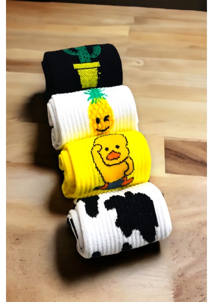 Renkli 4 Çift Desenli Fitilli Kolej Çorap Seti fiyatları