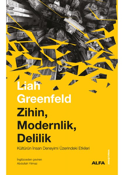 Zihin, Modernlik, Delilik