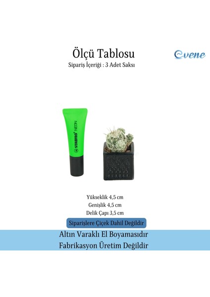 Mini Çiçek Saksı Küçük Sukulent Kaktüs Saksısı 3'lü Set Mini Kare Model