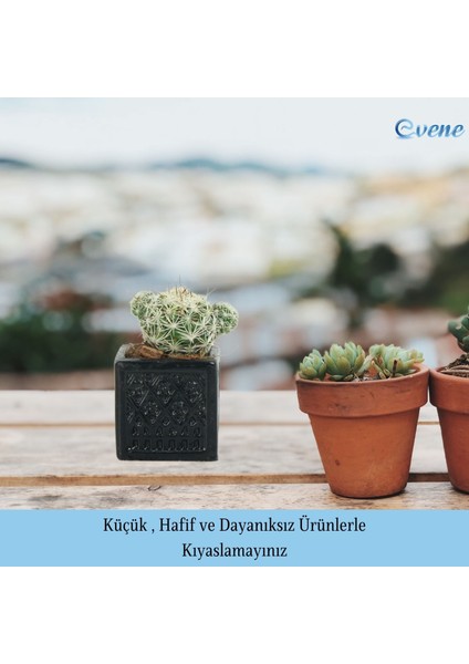 Mini Çiçek Saksı Küçük Sukulent Kaktüs Saksısı 3'lü Set Mini Kare Model