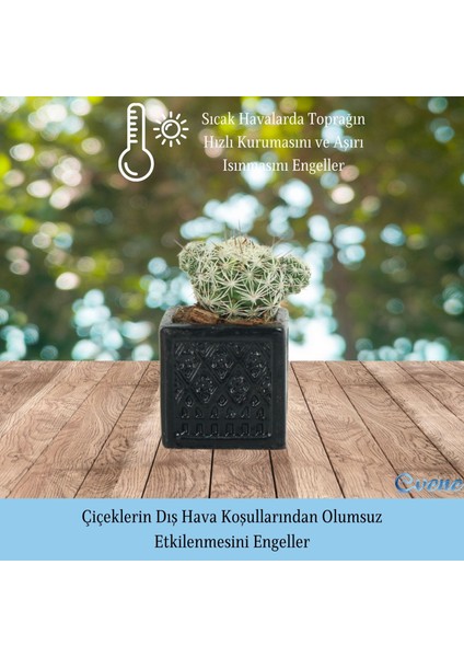 Mini Çiçek Saksı Küçük Sukulent Kaktüs Saksısı 3'lü Set Mini Kare Model