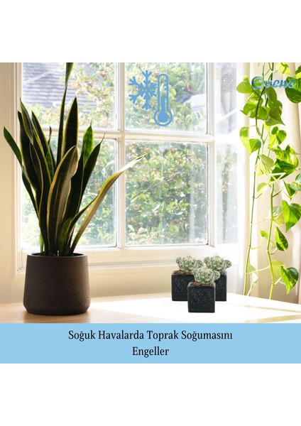 Mini Çiçek Saksı Küçük Sukulent Kaktüs Saksısı 3'lü Set Mini Kare Model