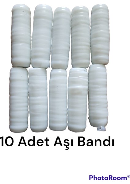 Aşı Bandı