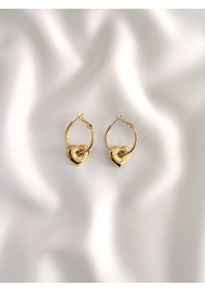 Paslanmaz Çelik Kadın Gold Kalpli Halka Küpe fiyatları