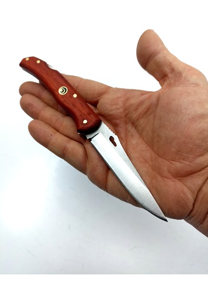 Kamp ve Av Çakısı, Günlük Kullanım Bıçağı, Sırttan Kilitli Paslanmaz Çelikten Çakı, Doğa Bıçağı, Erkekler Içi Kişiselleştirillmiş Hediye fiyatları